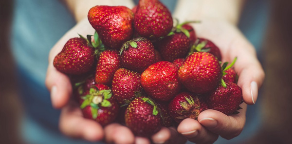 Handen met aardbeien